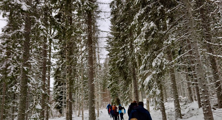 Sneeuwschoenen wandeling Sneeuwschoenen wandeling